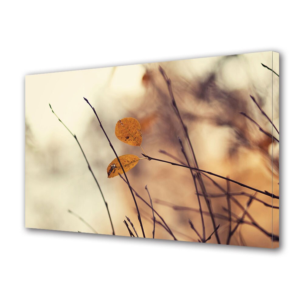 Tablou Canvas Luminos in intuneric VarioView LED, Toamna, Toamna in culori pamantii, 30 x 45 cm