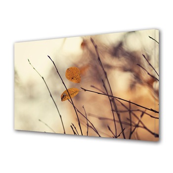 Tablou Canvas Luminos in intuneric VarioView LED, Toamna, Toamna in culori pamantii, 30 x 45 cm Tablou Canvas Luminos in intuneric VarioView LED, Toamna, Toamna in culori pamantii, 30 x 45 cm