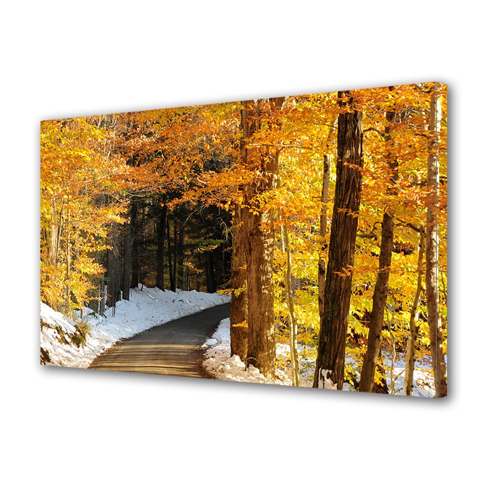 Tablou Canvas Luminos in intuneric VarioView LED, Toamna, Zapada timpurie, 40 x 60 cm