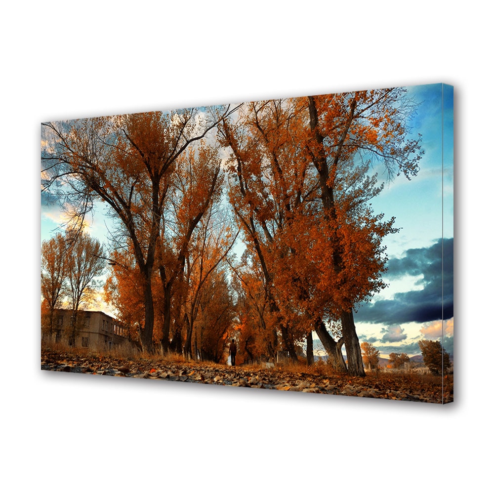 Tablou Canvas Luminos in intuneric VarioView LED, Toamna, Singur pe drum, 30 x 45 cm