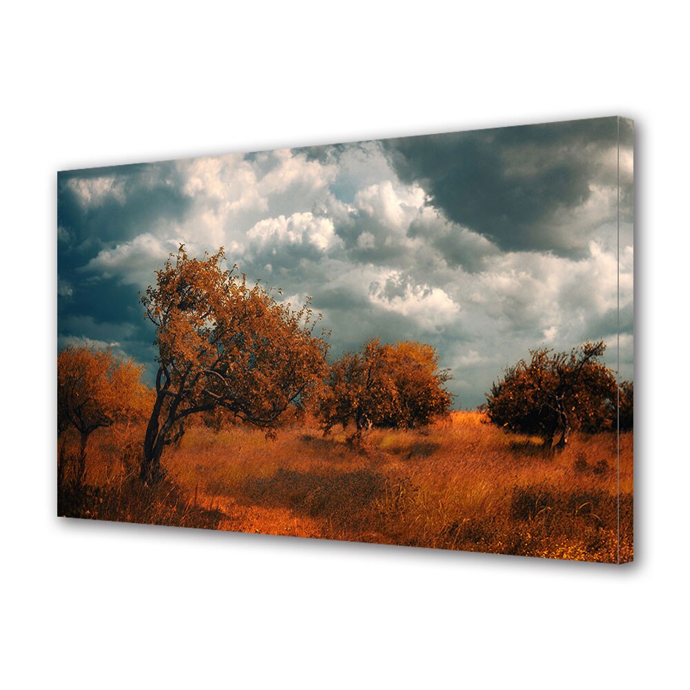 Tablou Canvas Luminos in intuneric VarioView LED, Toamna, Se apropie furtuna, 30 x 45 cm