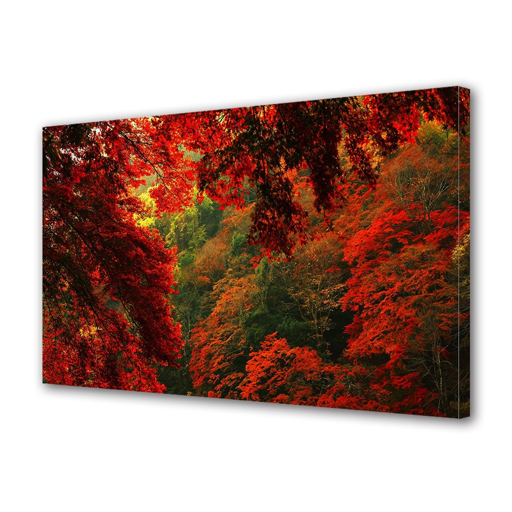 Tablou Canvas Luminos in intuneric VarioView LED, Toamna, Aglomerare de crengi, 30 x 45 cm