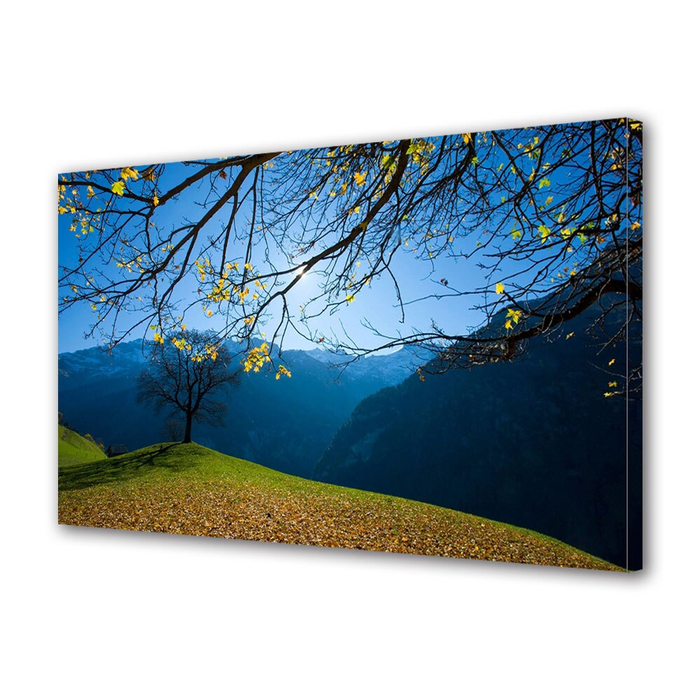 Tablou Canvas Luminos in intuneric VarioView LED, Toamna, Sub copac pe deal, 30 x 45 cm