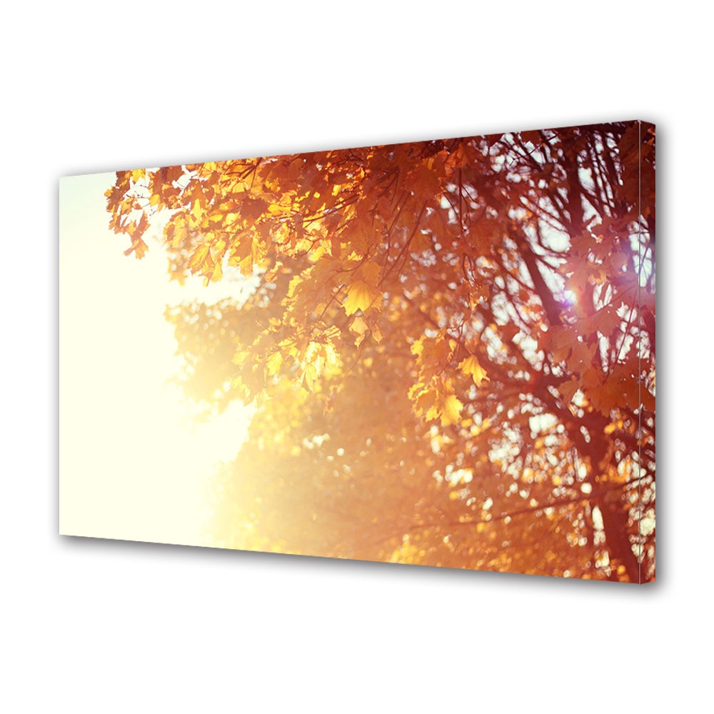 Tablou Canvas Luminos in intuneric VarioView LED, Toamna, Lumina orbitoare, 30 x 45 cm