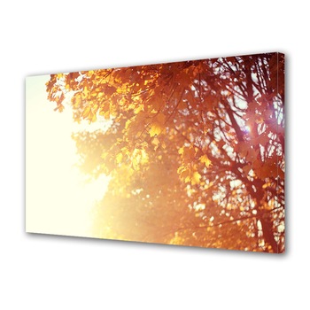 Tablou Canvas Luminos in intuneric VarioView LED, Toamna, Lumina orbitoare, 40 x 60 cm Tablou Canvas Luminos in intuneric VarioView LED, Toamna, Lumina orbitoare, 40 x 60 cm