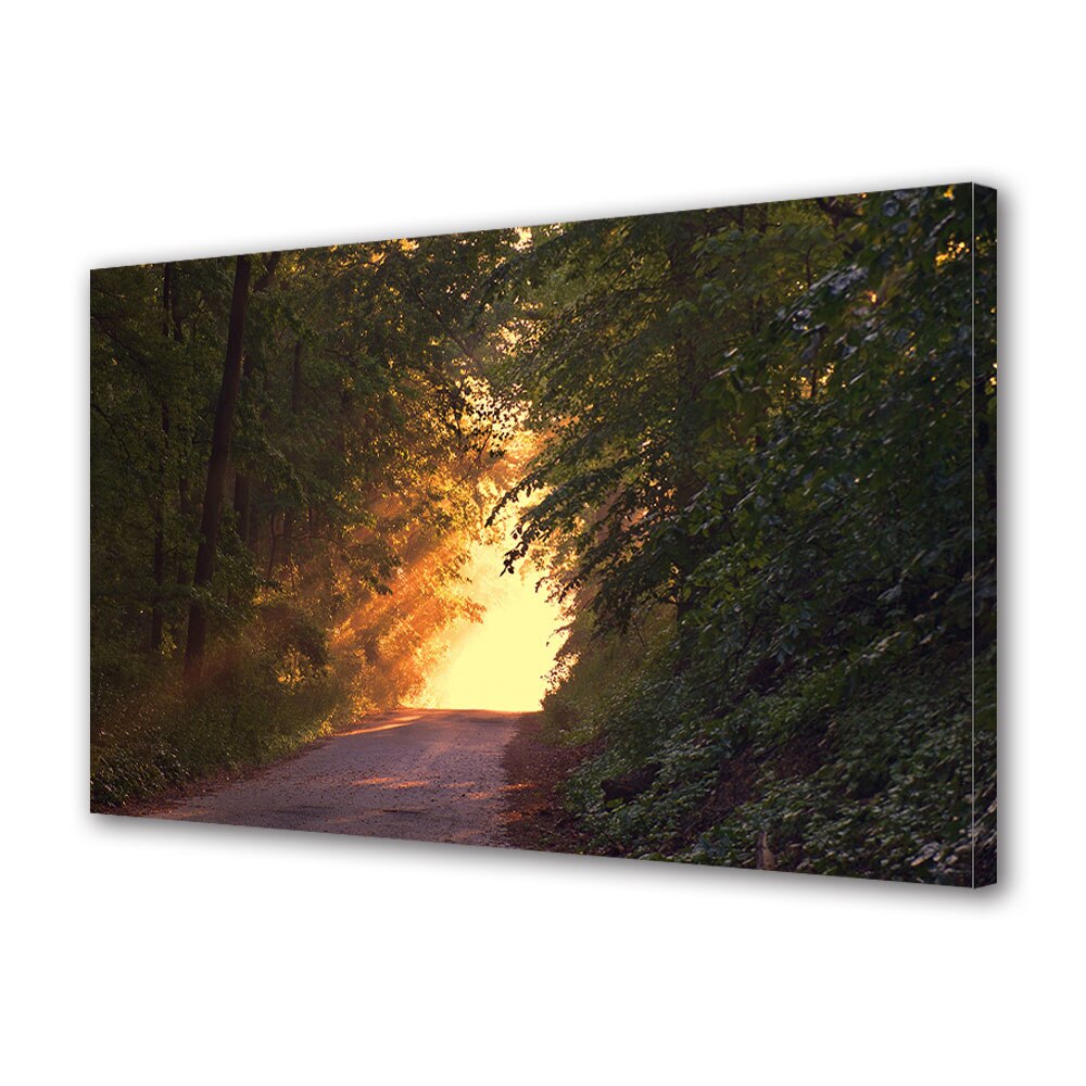 Tablou Canvas Luminos in intuneric VarioView LED, Toamna, Lumina de la capatul drumului, 40 x 60 cm