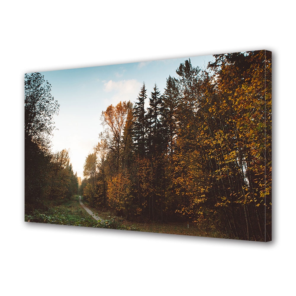 Tablou Canvas Luminos in intuneric VarioView LED, Toamna, Carare spre soare, 40 x 60 cm