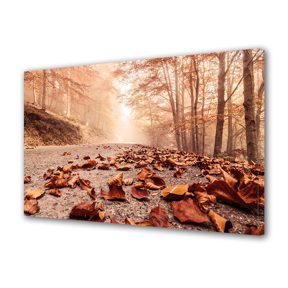Tablou Canvas Luminos in intuneric VarioView LED, Toamna, Frunze cazute pe sosea, 40 x 60 cm
