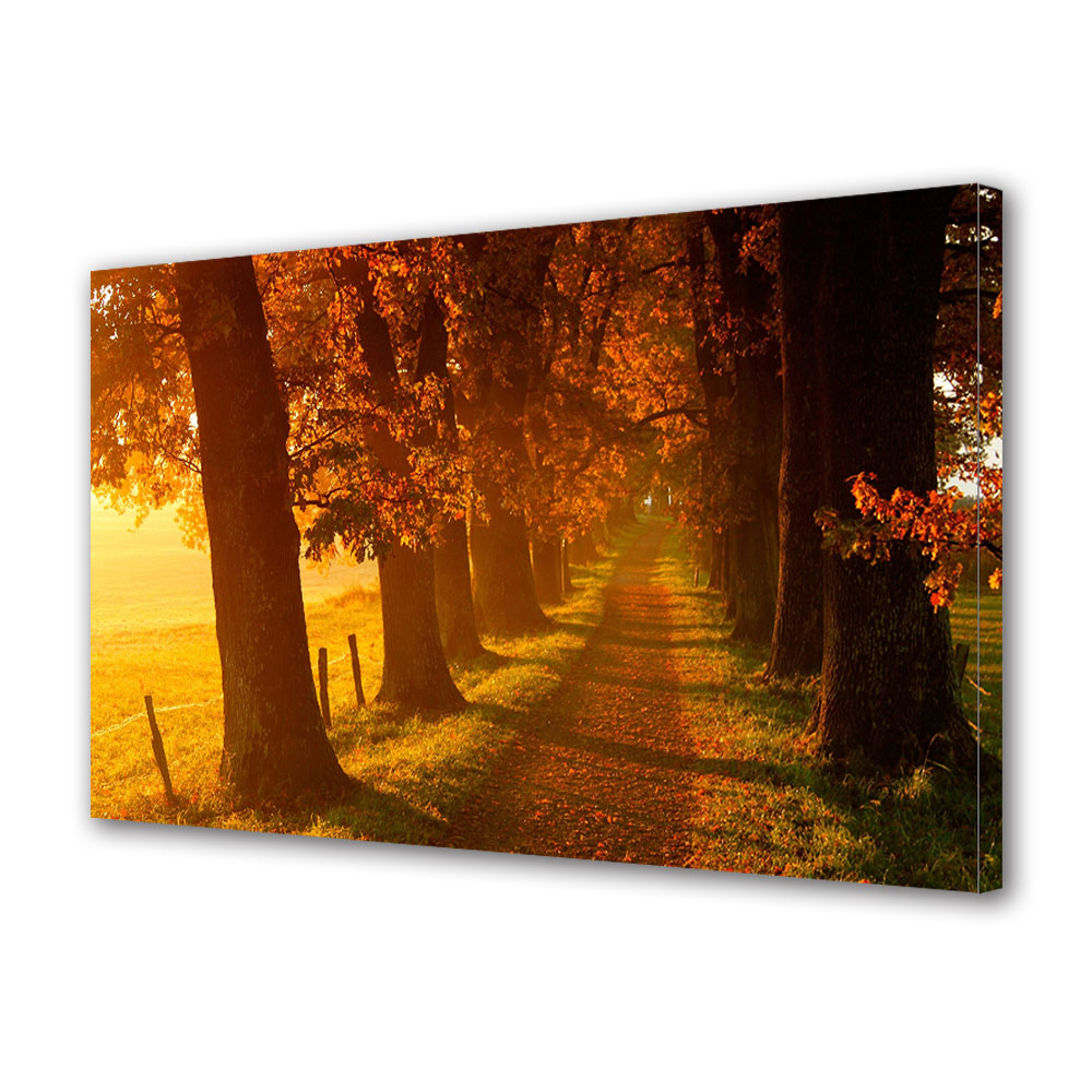 Tablou Canvas Luminos in intuneric VarioView LED, Toamna, Alee ingusta printre copaci, 30 x 45 cm