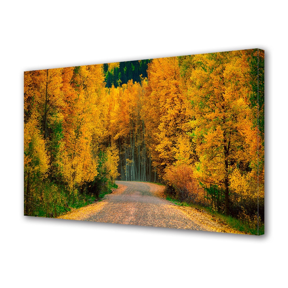 Tablou Canvas Luminos in intuneric VarioView LED, Toamna, Drum de toamna, 40 x 60 cm