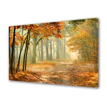Tablou Canvas Luminos in intuneric VarioView LED, Toamna, Perdea de raze calde, 30 x 45 cm Tablou Canvas Luminos in intuneric VarioView LED, Toamna, Perdea de raze calde, 30 x 45 cm