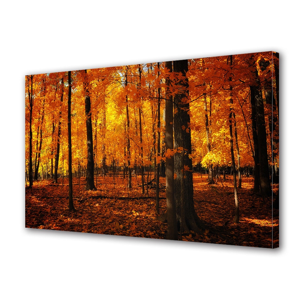 Tablou Canvas Luminos in intuneric VarioView LED, Toamna, Padurea aurie, 40 x 60 cm