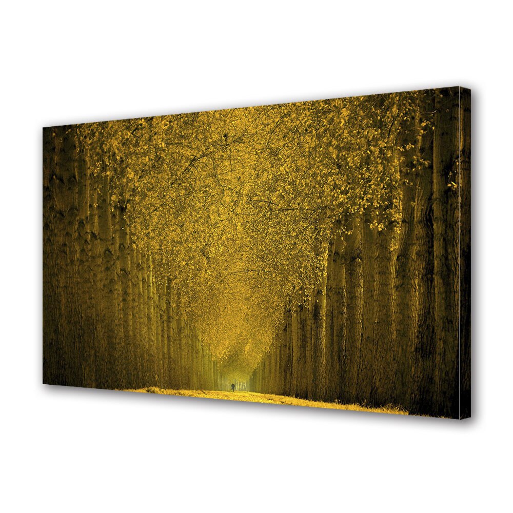 Tablou Canvas Luminos in intuneric VarioView LED, Toamna, Pe sub coroanele ingalbenite, 30 x 45 cm