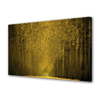 Tablou Canvas Luminos in intuneric VarioView LED, Toamna, Pe sub coroanele ingalbenite, 30 x 45 cm Tablou Canvas Luminos in intuneric VarioView LED, Toamna, Pe sub coroanele ingalbenite, 30 x 45 cm