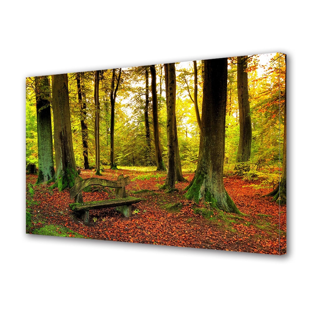 Tablou Canvas Luminos in intuneric VarioView LED, Toamna, Muschi verde pe copaci, 40 x 60 cm