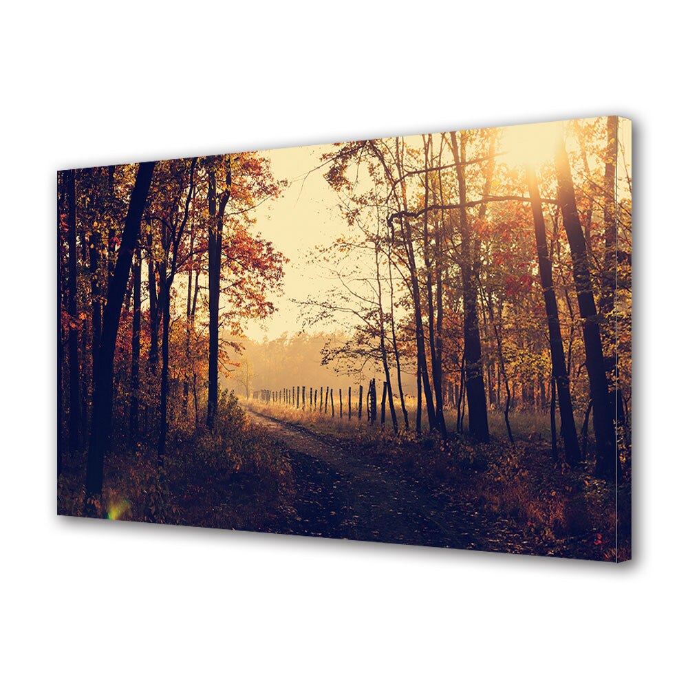 Tablou Canvas Luminos in intuneric VarioView LED, Toamna, Umbra in padure, 40 x 60 cm