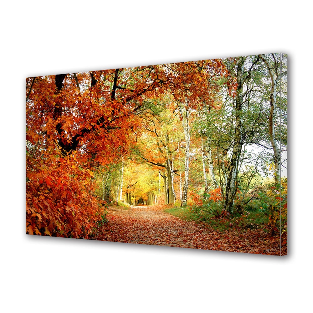 Tablou Canvas Luminos in intuneric VarioView LED, Toamna, Tunel prin padure, 40 x 60 cm