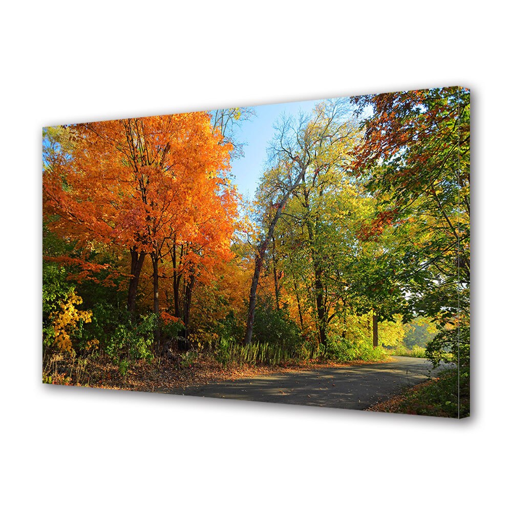 Tablou Canvas Luminos in intuneric VarioView LED, Toamna, Copaci colorati pe marginea drumului, 40 x 60 cm