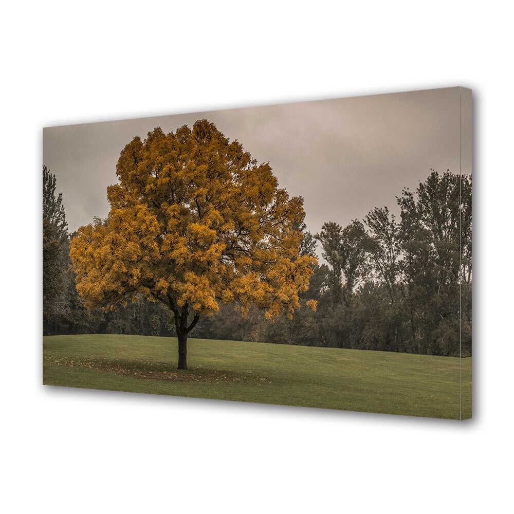 Tablou Canvas Luminos in intuneric VarioView LED, Toamna, Cer inorat, 30 x 45 cm