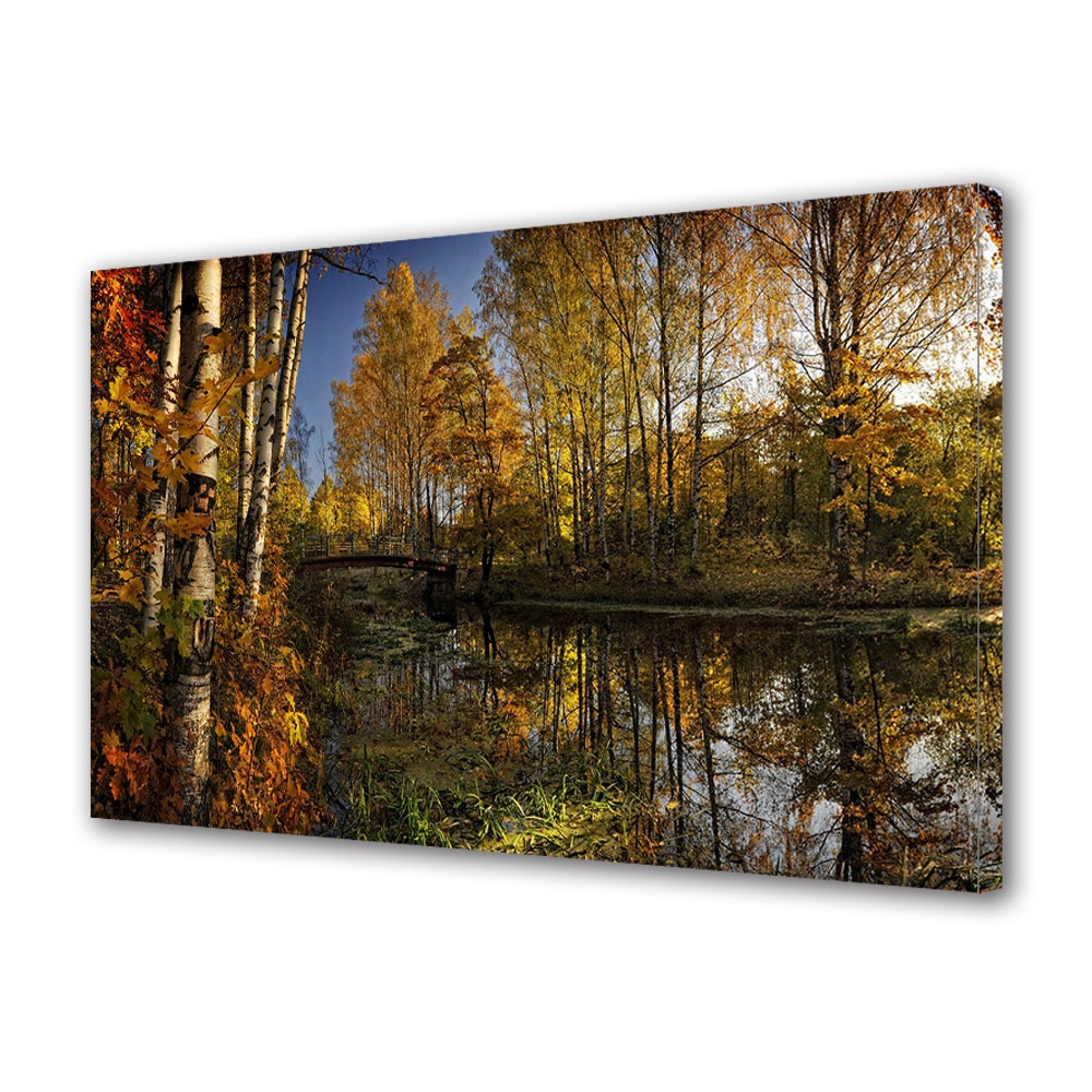 Tablou Canvas Luminos in intuneric VarioView LED, Toamna, Pod de lemn in padure, 30 x 45 cm