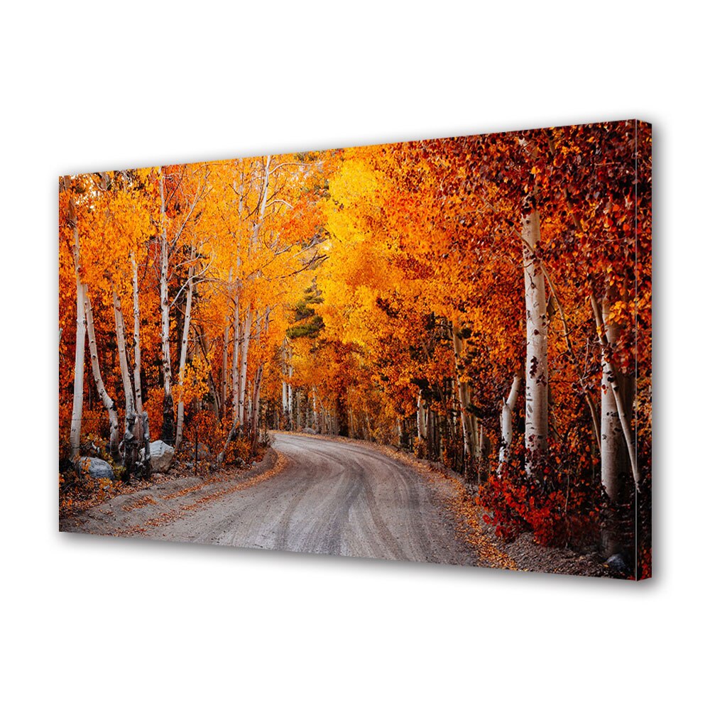 Tablou Canvas Luminos in intuneric VarioView LED, Toamna, Mesteceni in culorile toamnei, 40 x 60 cm