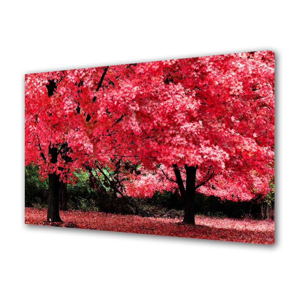 Tablou Canvas Luminos in intuneric VarioView LED, Toamna, Copacii roz , 40 x 60 cm