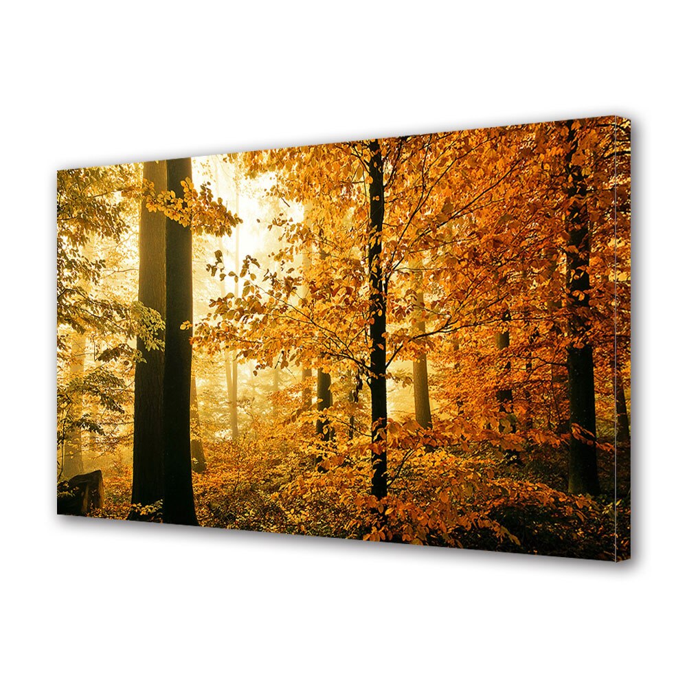Tablou Canvas Luminos in intuneric VarioView LED, Toamna, Apus printre copacii padurii, 30 x 45 cm