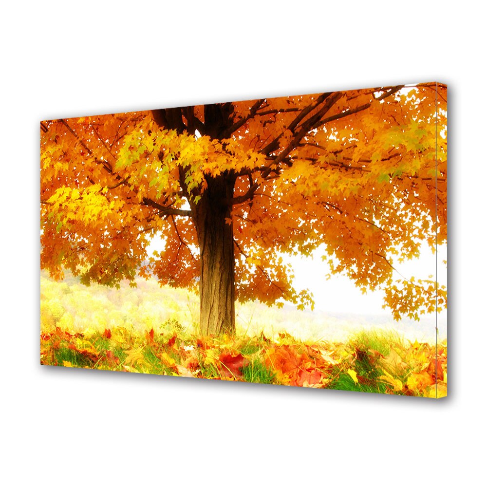 Tablou Canvas Luminos in intuneric VarioView LED, Toamna, Portocaliu vibrant, 40 x 60 cm