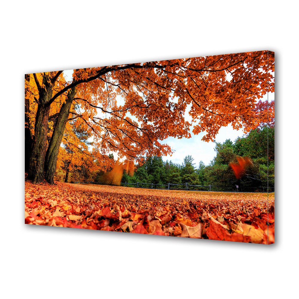 Tablou Canvas Luminos in intuneric VarioView LED, Toamna, Cad frunzele, 40 x 60 cm