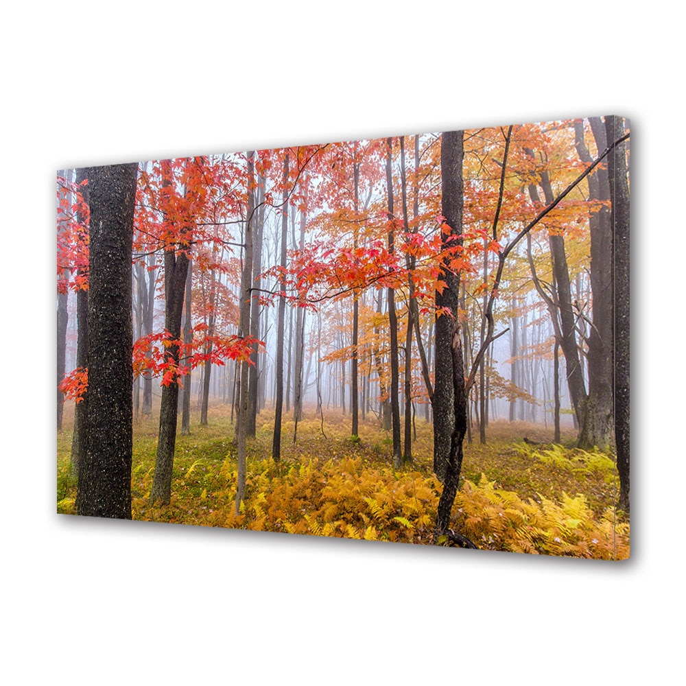 Tablou Canvas Luminos in intuneric VarioView LED, Toamna, Copaci tineri in ceata, 30 x 45 cm