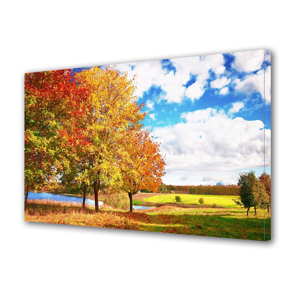 Tablou Canvas Luminos in intuneric VarioView LED, Toamna, Amiaza linistita in poiana, 40 x 60 cm