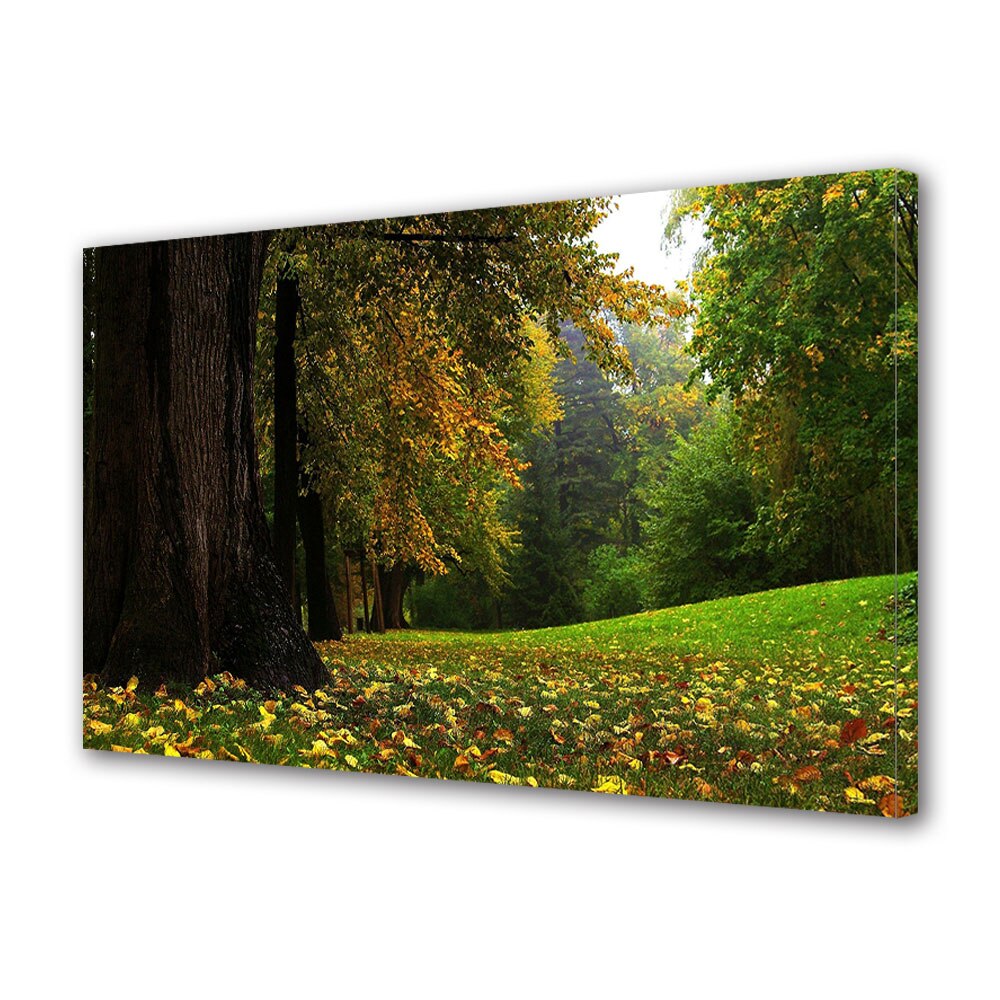 Tablou Canvas Luminos in intuneric VarioView LED, Toamna, Poiana in padure, 40 x 60 cm