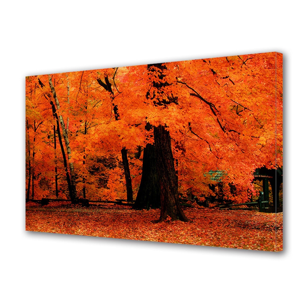 Tablou Canvas Luminos in intuneric VarioView LED, Toamna, Copaci cu frunze rosii, 40 x 60 cm