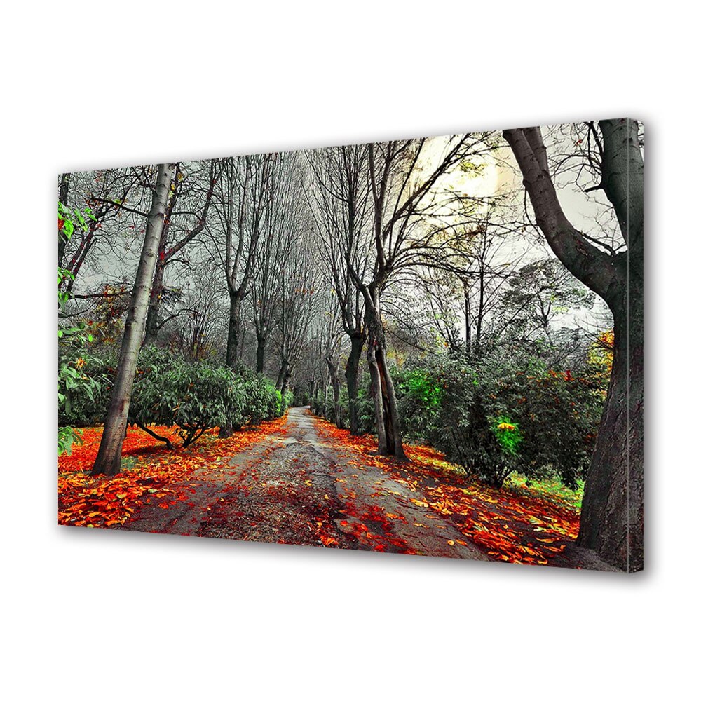 Tablou Canvas Luminos in intuneric VarioView LED, Toamna, Drum dupa ploaie, 40 x 60 cm