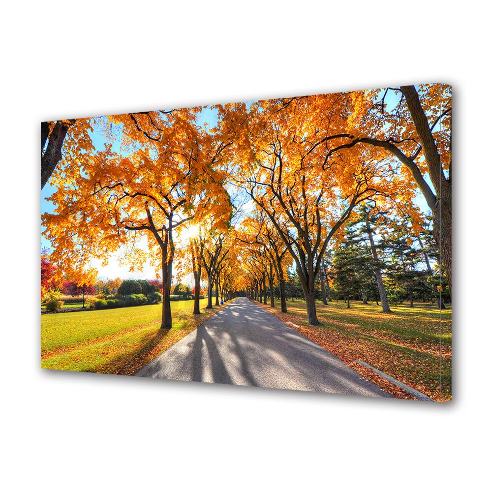 Tablou Canvas Luminos in intuneric VarioView LED, Toamna, Umbre delicate pe drum, 40 x 60 cm