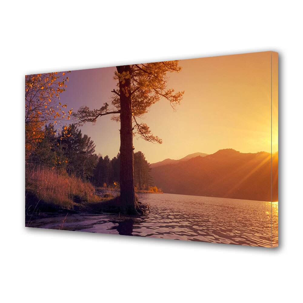 Tablou Canvas Luminos in intuneric VarioView LED, Toamna, Copac cu radacini in apa, 30 x 45 cm