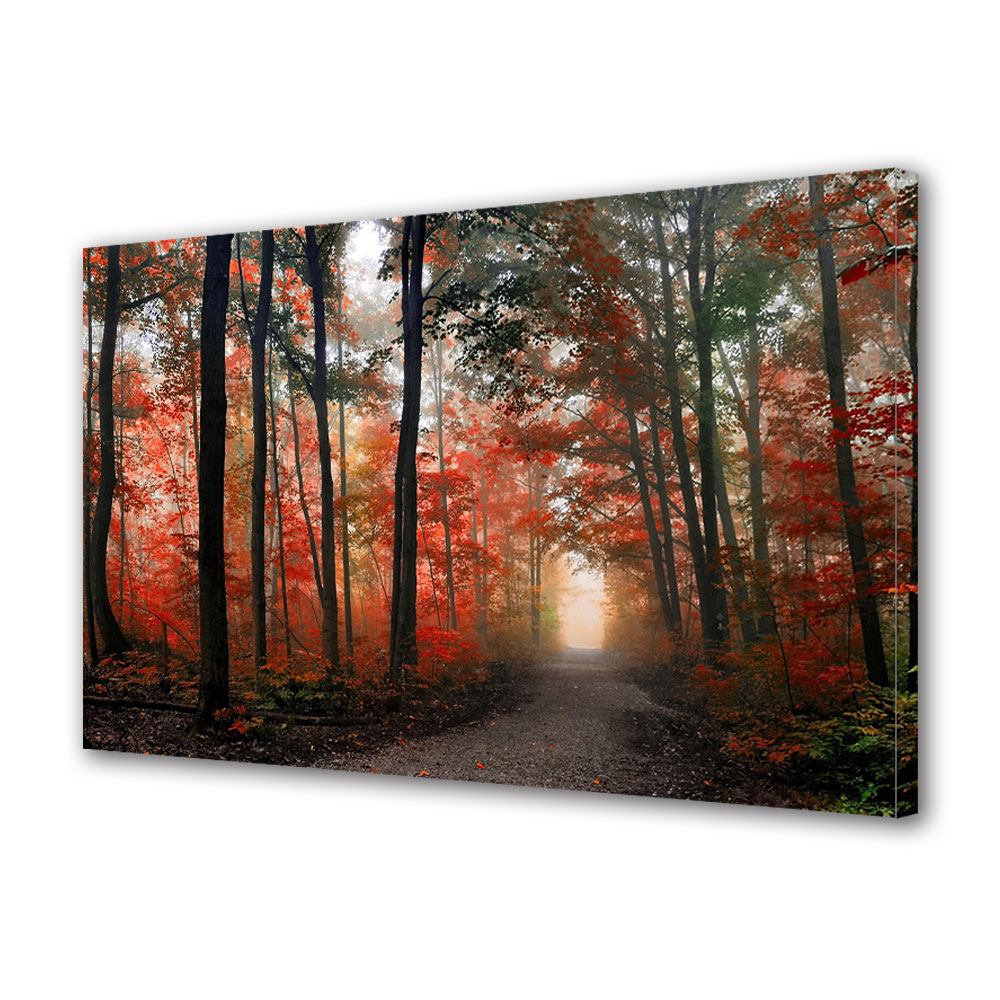 Tablou Canvas Luminos in intuneric VarioView LED, Toamna, Umbre luminoase, 40 x 60 cm