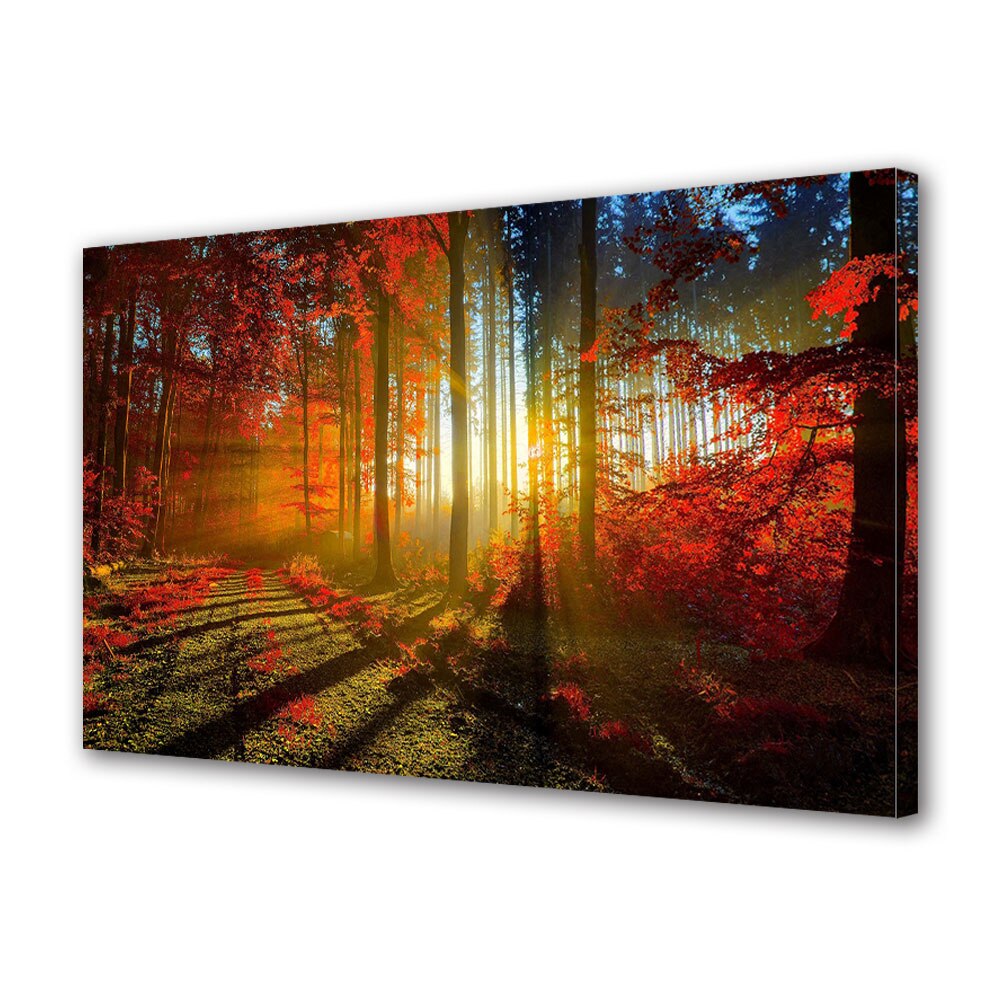 Tablou Canvas Luminos in intuneric VarioView LED, Toamna, Rasarit cu raze puternice, 30 x 45 cm