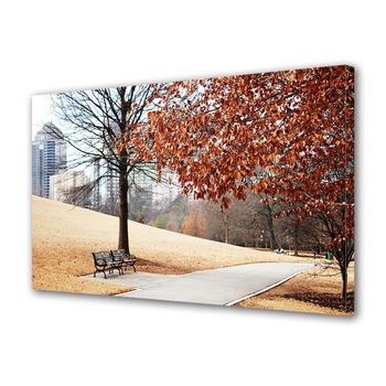 Tablou Canvas Luminos in intuneric VarioView LED, Toamna, Parc in centrul orasului, 30 x 45 cm Tablou Canvas Luminos in intuneric VarioView LED, Toamna, Parc in centrul orasului, 30 x 45 cm