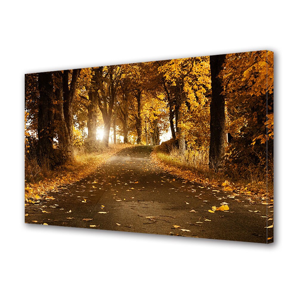 Tablou Canvas Luminos in intuneric VarioView LED, Toamna, Raze printre copaci, 30 x 45 cm