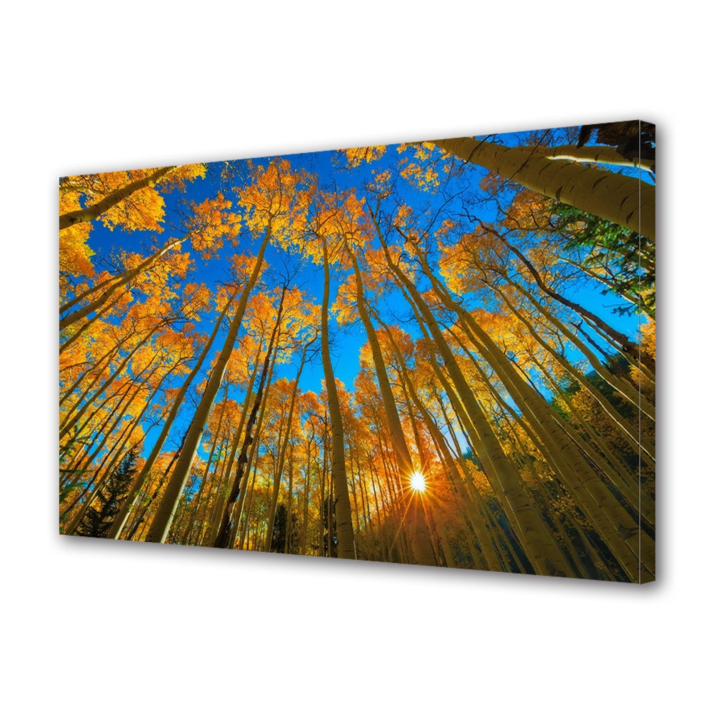 Tablou Canvas Luminos in intuneric VarioView LED, Toamna, Coroane inalte, 30 x 45 cm
