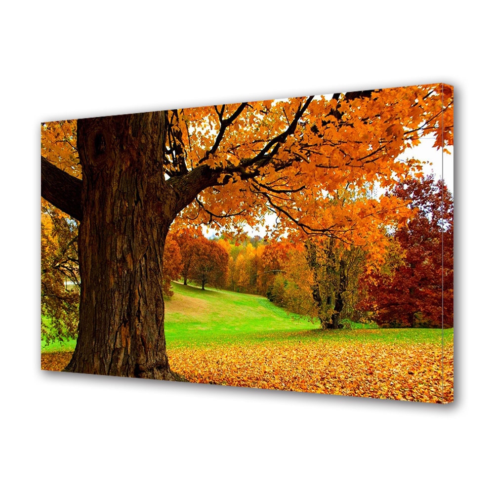 Tablou Canvas Luminos in intuneric VarioView LED, Toamna, Peisaj de deal toamna, 30 x 45 cm