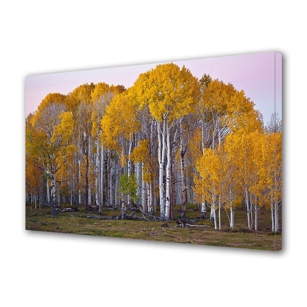 Tablou Canvas Luminos in intuneric VarioView LED, Toamna, Privind spre padure, 30 x 45 cm