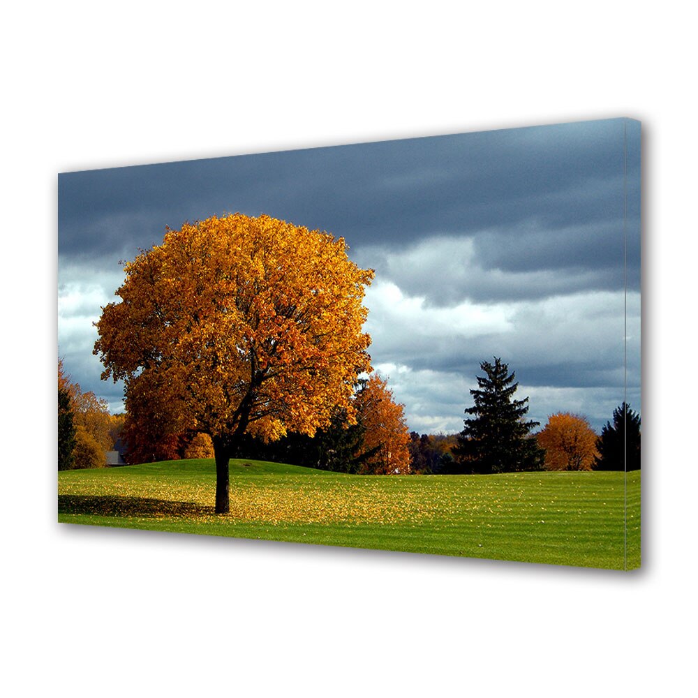 Tablou Canvas Luminos in intuneric VarioView LED, Toamna, Coroana copacului in campie, 40 x 60 cm