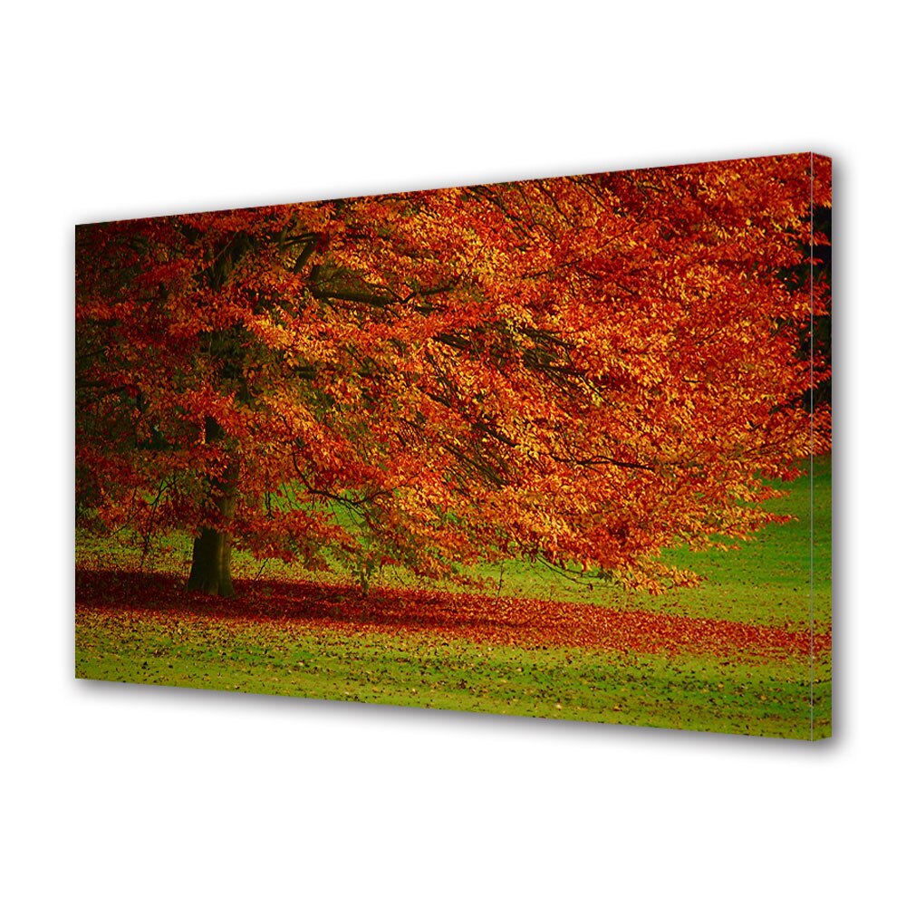 Tablou Canvas Luminos in intuneric VarioView LED, Toamna, Frunze rosiatice pe iarba verde, 30 x 45 cm