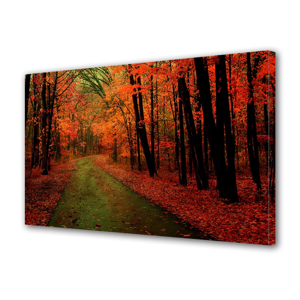 Tablou Canvas Luminos in intuneric VarioView LED, Toamna, Frunze cazute dupa ploaie, 30 x 45 cm