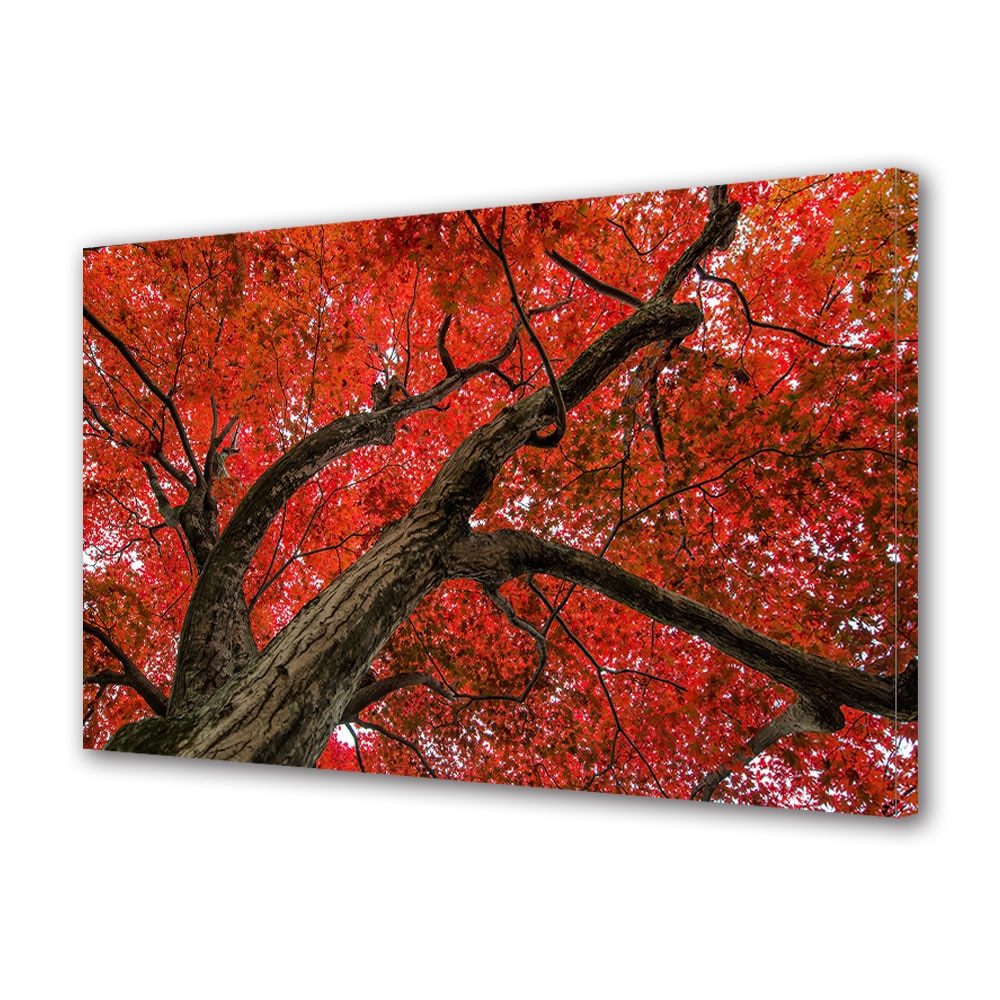 Tablou Canvas Luminos in intuneric VarioView LED, Toamna, Coroana impunatoare cu frunze rosii, 30 x 45 cm