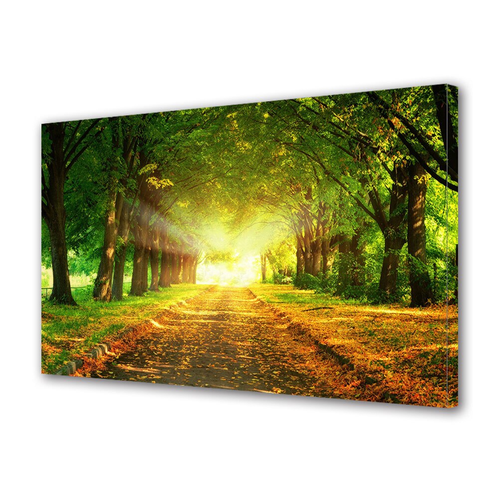 Tablou Canvas Luminos in intuneric VarioView LED, Toamna, Lumina puternica pe drum, 40 x 60 cm