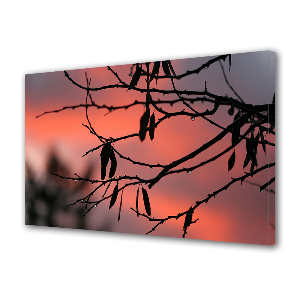 Tablou Canvas Luminos in intuneric VarioView LED, Toamna, Crengute cu picaturi de ploaie, 30 x 45 cm