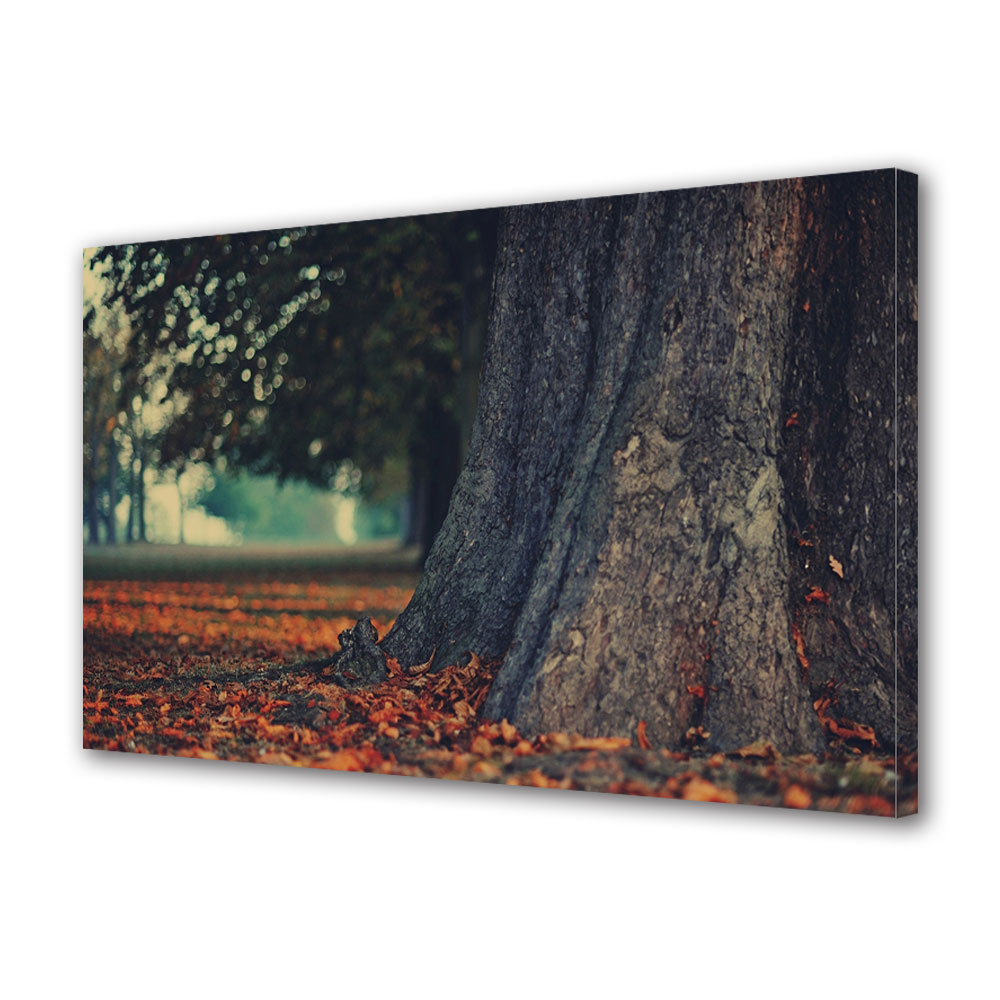 Tablou Canvas Luminos in intuneric VarioView LED, Toamna, Scoarta de copac, 30 x 45 cm
